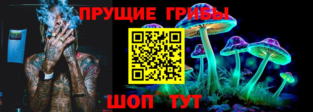 Ярославль  Псилоцибиновые грибы GOLDEN TEACHER  Вход с VPN 