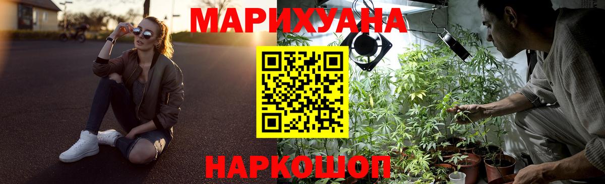 Конопля гибрид Ярославль